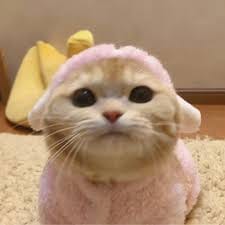 Hoàng Văn Thụ avatar